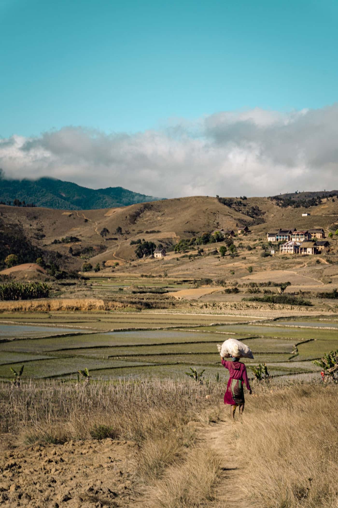 Paysage de terre rouge et de collines cultivées, dans le sud de Madagascar.